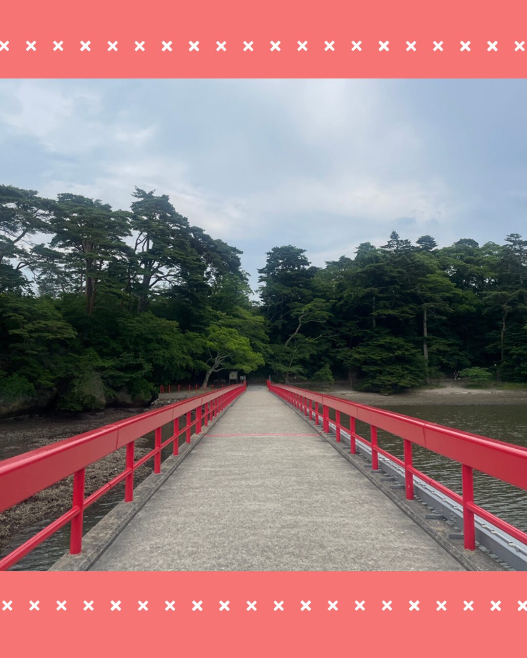 Read more about the article 松島に行ってきました！