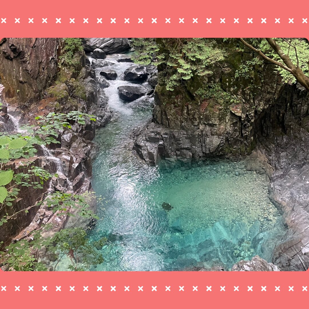 Read more about the article マイナスイオン浴びまくり🌲