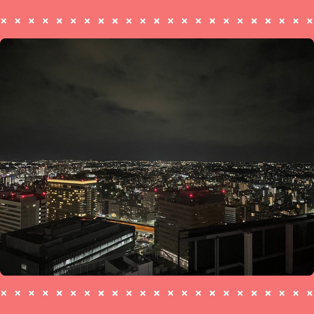 Read more about the article 横浜旅行に行ってきました🌃