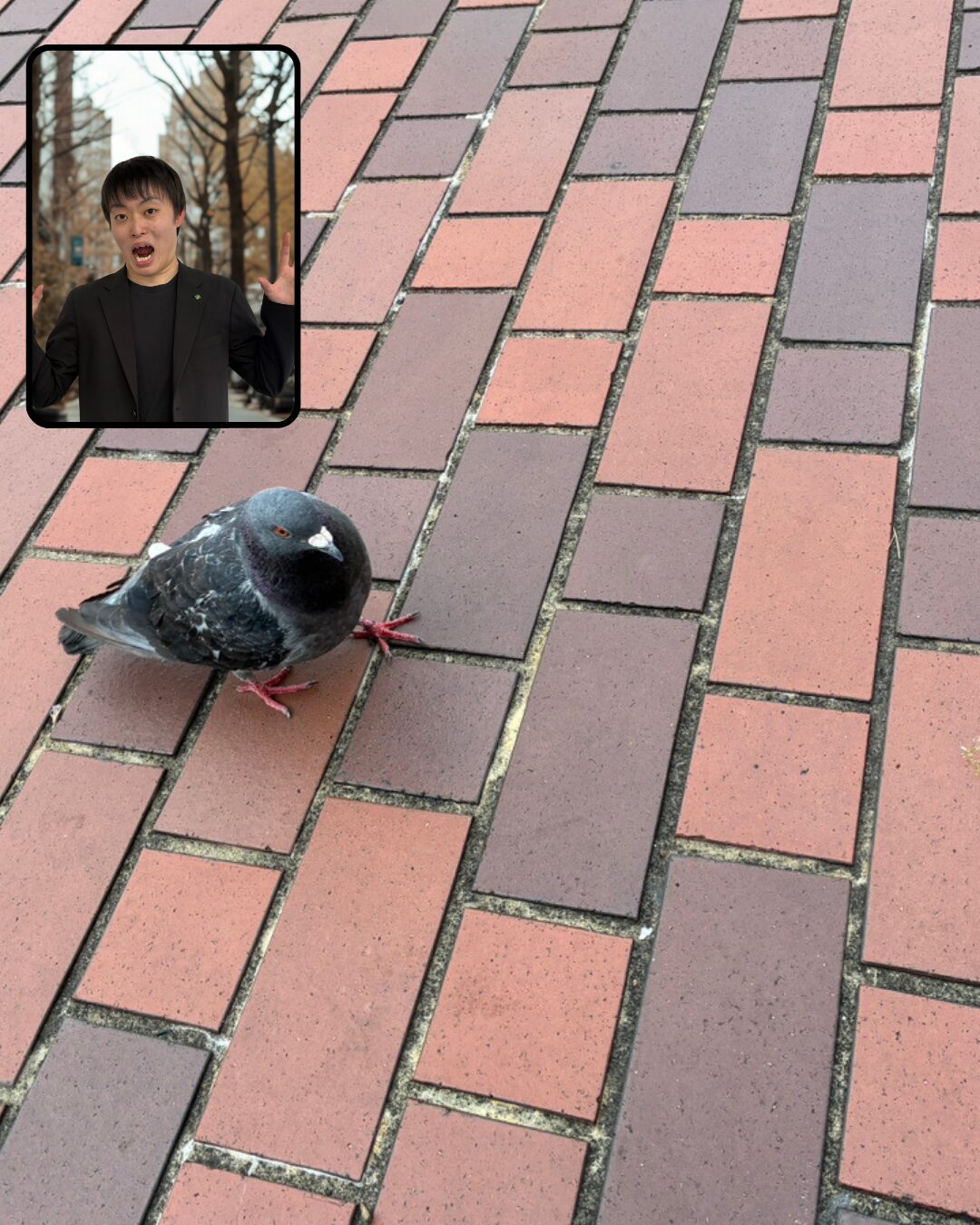 Read more about the article 出張で東京の多摩に行きました！🐥🐥