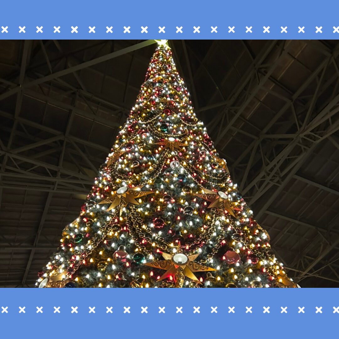 投稿についてもっと詳しく ディズニー・クリスマスを楽しんできました🌟